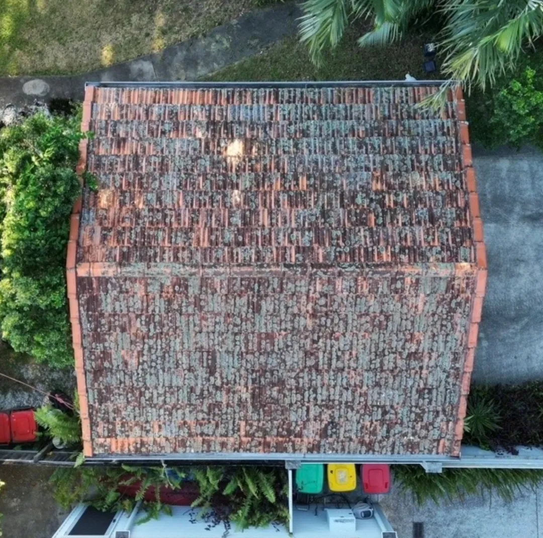 Terracotta roof before cleaning — heavy lichen and moss coverage