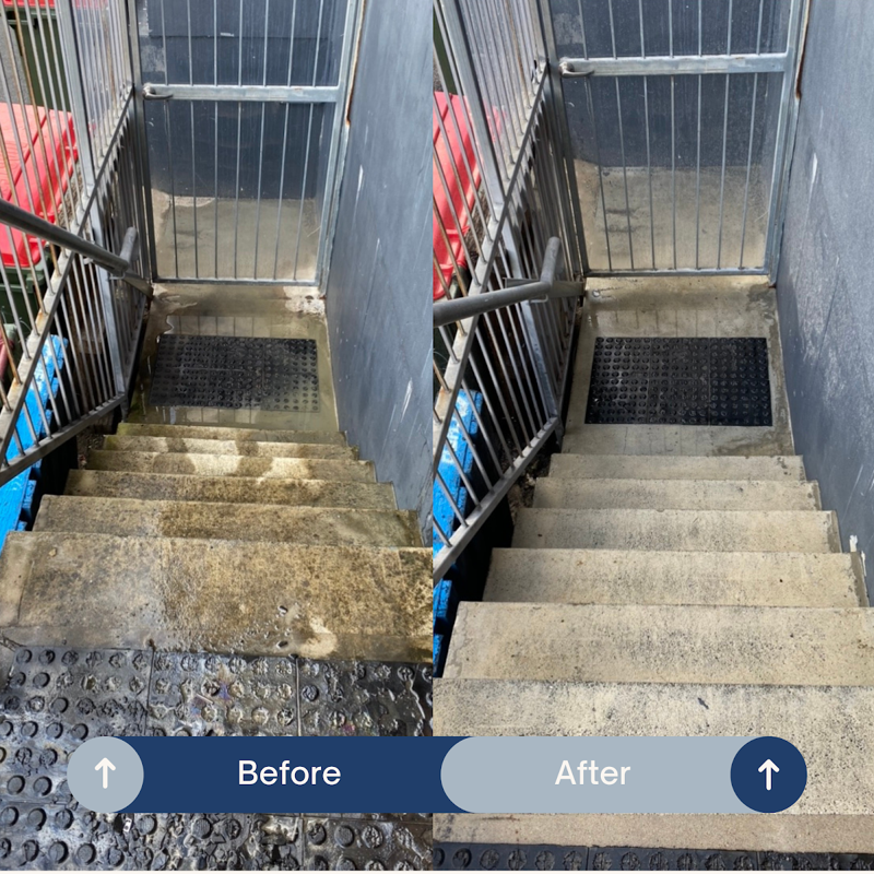 Pressure washing project photo 2